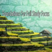 Foundations For Full Study Focus
