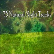 75 Natural Night Tracks