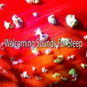 Welcoming Sounds For Sleep