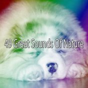 49 Great Sounds Of Nature