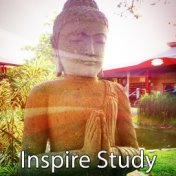 Inspire Study