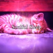 Soulful Sleep