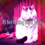 45 Bed Resting Night Tracks