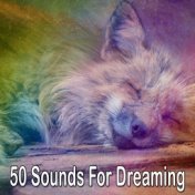 50 Sounds For Dreaming