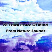 78 Track Peace Of Mind From Nature Sounds