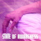 State Of Awareness