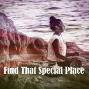 Find That Special Place