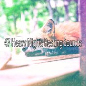 47 Heavy Nights Resting Sounds