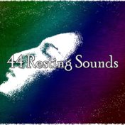 44 Resting Sounds