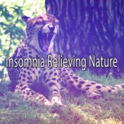 Insomnia Relieving Nature