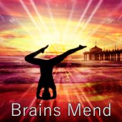 Brains Mend