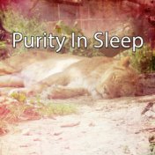 Purity In Sleep