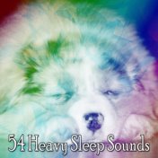 54 Heavy Sleep Sounds