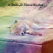 80 Tracks For Natural Bed Rest