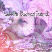 Peaceful Bedrest Sounds