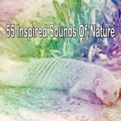 55 Inspired Sounds Of Nature