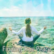 Finding True Peace