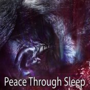 Peace Through Sleep