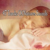 47 Tracks Of Natures Sounds