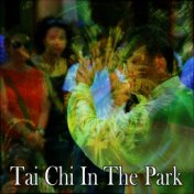 Tai Chi In The Park