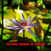 68 Pure Sounds Of Nature