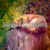 Sleep To Dreams