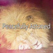 Peacefully Attuned