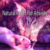 Natural Relief For Anxiety