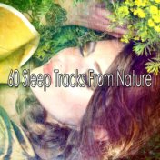 60 Sleep Tracks From Nature