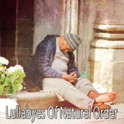 Lullabyes Of Natural Order