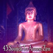 43 Sounds To Arouse Zen