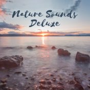 Nature Sounds Deluxe – Nature Music for Yoga, Meditation, Relaxation, Spa