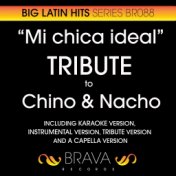 Mi Chica Ideal - Tribute To Chino y Nacho