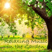 Relaxing Music in the Garden