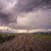 Soothing Nature Rain Sounds for Relaxation Sessions