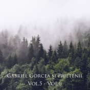 Gabriel Gorcea și Prietenii, Vol. 5 - Vol. 6