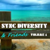 Sync Diversity & Friends, Vol. 1