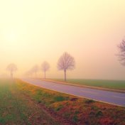 Tender Sounds of Nature | Sleep and Serenity