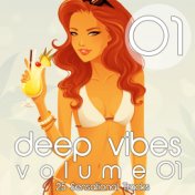 Deep Vibes, Vol. 1