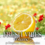Fresh Vibes, Vol. 2