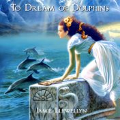 To Dream of Dolphins