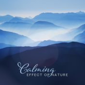 Calming Effect of Nature: Relief in Stress, Soothing Nerves and Stress, Helpful in Falling Asleep and Insomnia, Delicate Music f...