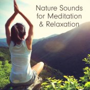 Nature Sounds for Meditation & Relaxation – Music for Reduce Stress, Inner Harmony, Deep Meditation, Sleep, Yoga Exercises, Soun...