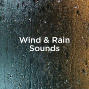 Wind & Rain Sounds