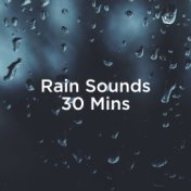 Rain Sounds 30 Mins