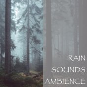 Rain Sounds Ambience