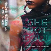 She Got Soul (The Harry and Cactus Mixes)