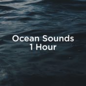 Ocean Sounds 1 Hour