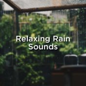 Relaxing Rain Sounds