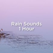 Rain Sounds 1 Hour